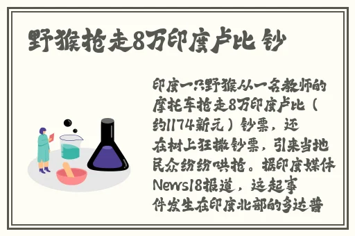 亚洲国产综合精品一区小说