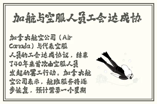 野花视频在线观看最新免费3